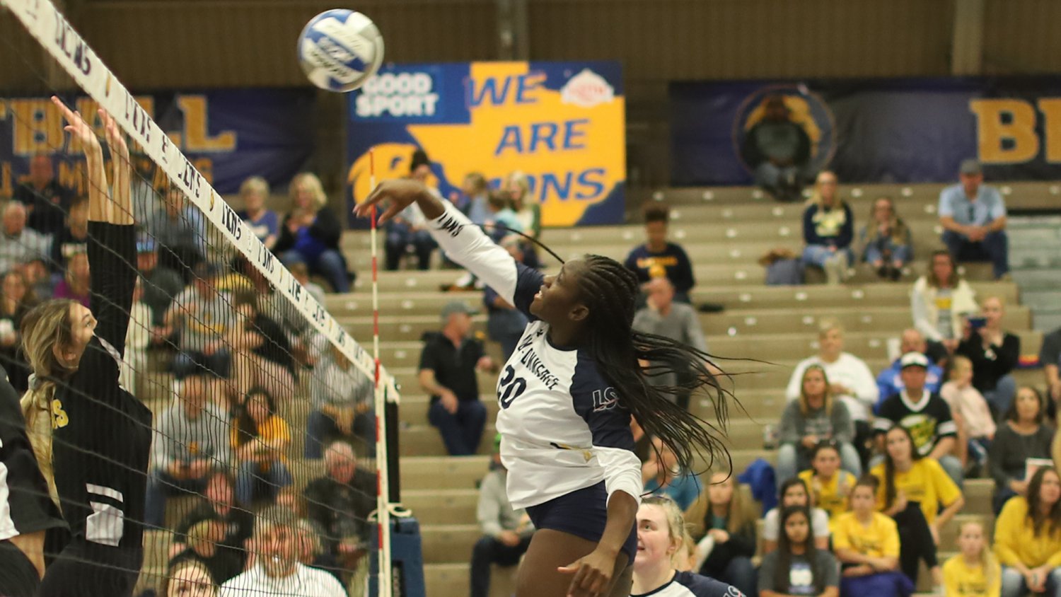 Volleyball A&M #YF1vJa99